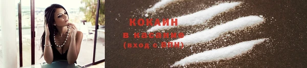 хмурый Покачи