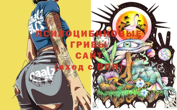таблы Приозерск