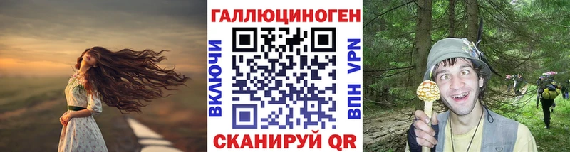Псилоцибиновые грибы Psilocybine cubensis  Узловая 